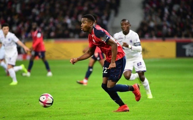 无疑点燃了 无疑点燃了